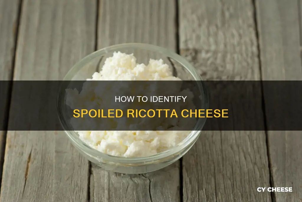 what does ricotta cheese look like when it goes bad