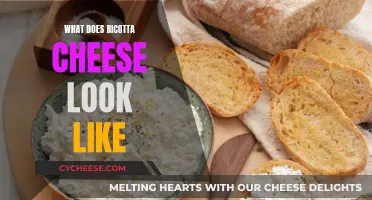 Ricotta Cheese: Appearance, Texture, and Common Uses