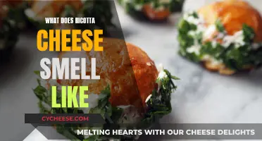 Ricotta Cheese: Aroma and Taste Experience