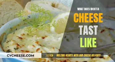 Ricotta Cheese: A Beginner's Guide to Its Unique Taste