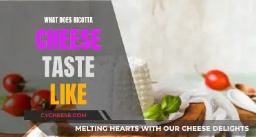 Ricotta Cheese: A Beginner's Guide to Its Taste