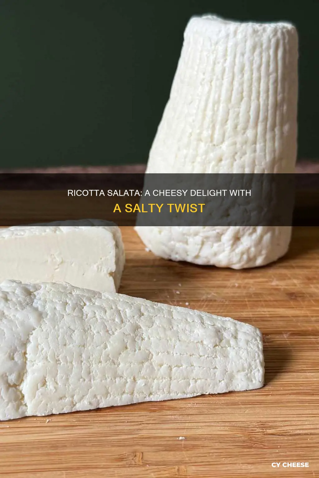 what does ricotta salata cheese taste like