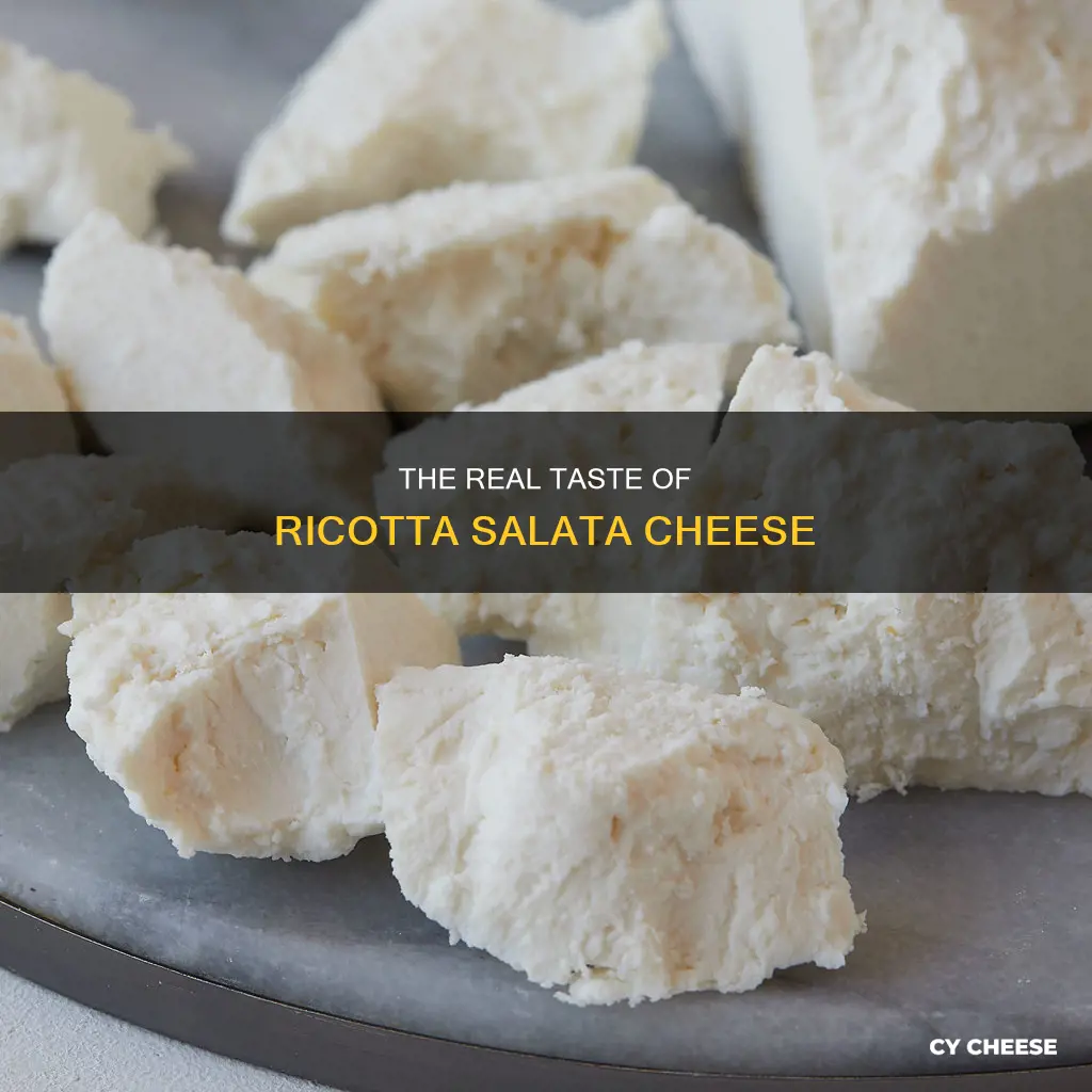 what does ricotta salata cheese taste like