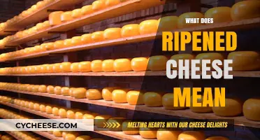 Understanding Ripened Cheese: Aging Process, Flavor, and Texture Explained