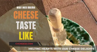 The Rich Taste of Riserva Cheese: A Detailed Overview