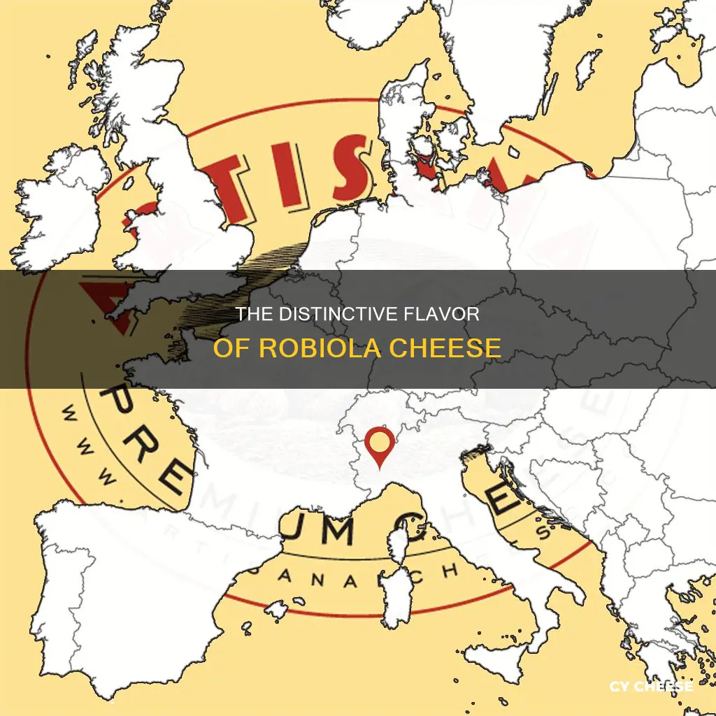 what does robiola cheese taste like