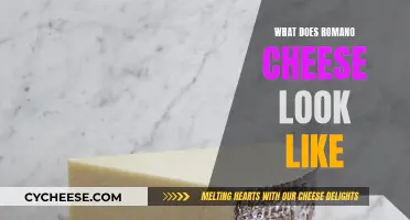Romano Cheese: Appearance, Texture, and Color Explained