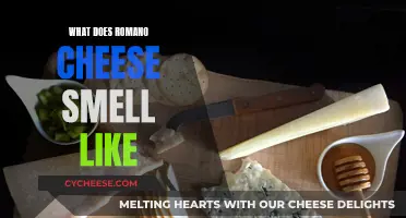 Romano Cheese: A Pungent, Sharp-Smelling Italian Treat