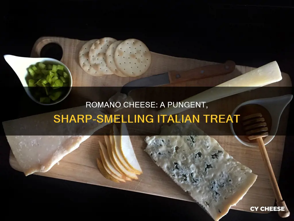 what does romano cheese smell like