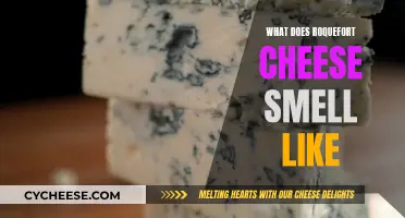 The Distinctive Smell of Roquefort Cheese: A Sensory Experience