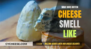 The Unpleasant Aroma of Decomposing Cheese: A Smell Guide