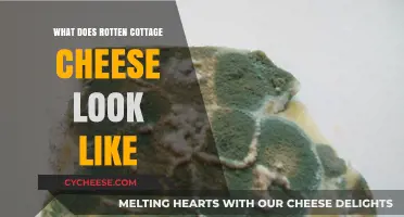 Identifying Rotten Cottage Cheese: Visual Signs and Spoilage Indicators