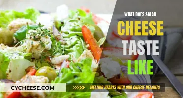 Exploring the Unique Flavor of Salad Cheese: A Tasty Adventure