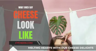 Capturing the Perfect "Say Cheese" Moment