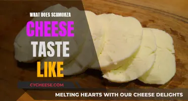 Scamorza Cheese: A Unique Taste Experience