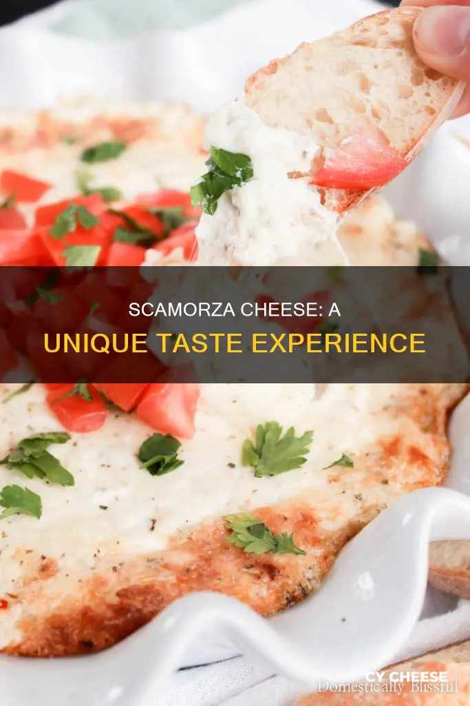 what does scamorza cheese taste like