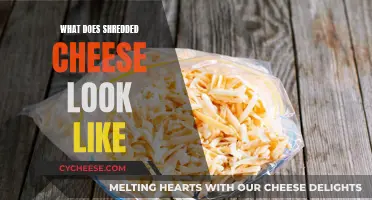 Shredded Cheese: What Does It Look Like?