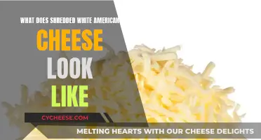 Unraveling the Mystery: Shredded White American Cheese's Visual Identity