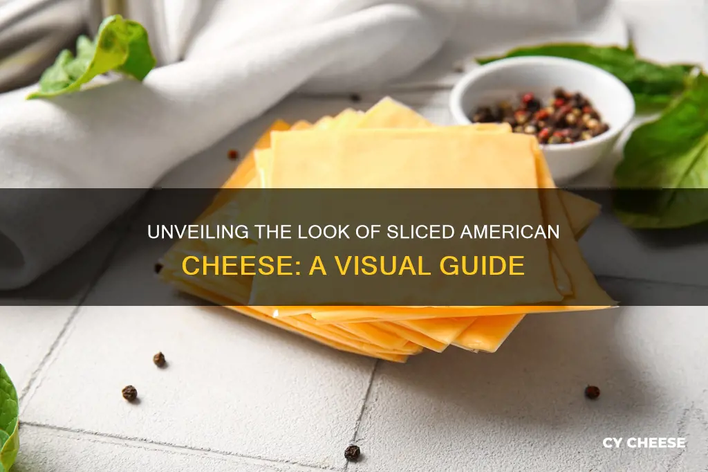 what does sliced amerian cheese lokk like