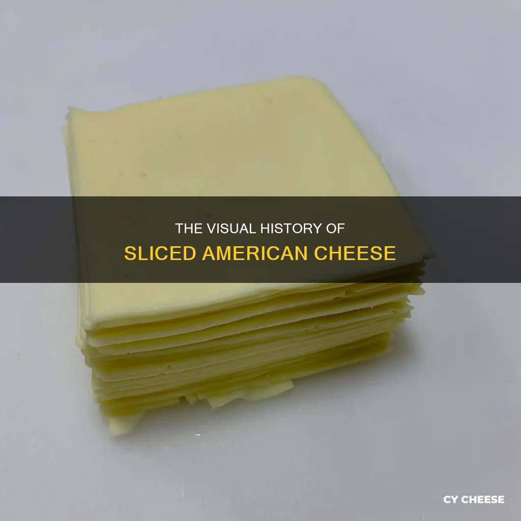 what does sliced amerian cheese lokk like