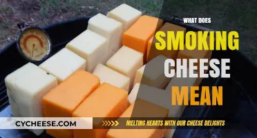 Smoking Cheese: Techniques, Flavors, and Perfect Pairings Explained