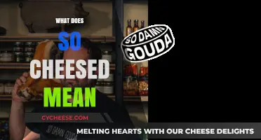 What Does 'So Cheesed' Mean? Unraveling the Idiom's Origins and Usage