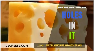 Why Some Cheeses Have Holes: The Science Behind Swiss Cheese