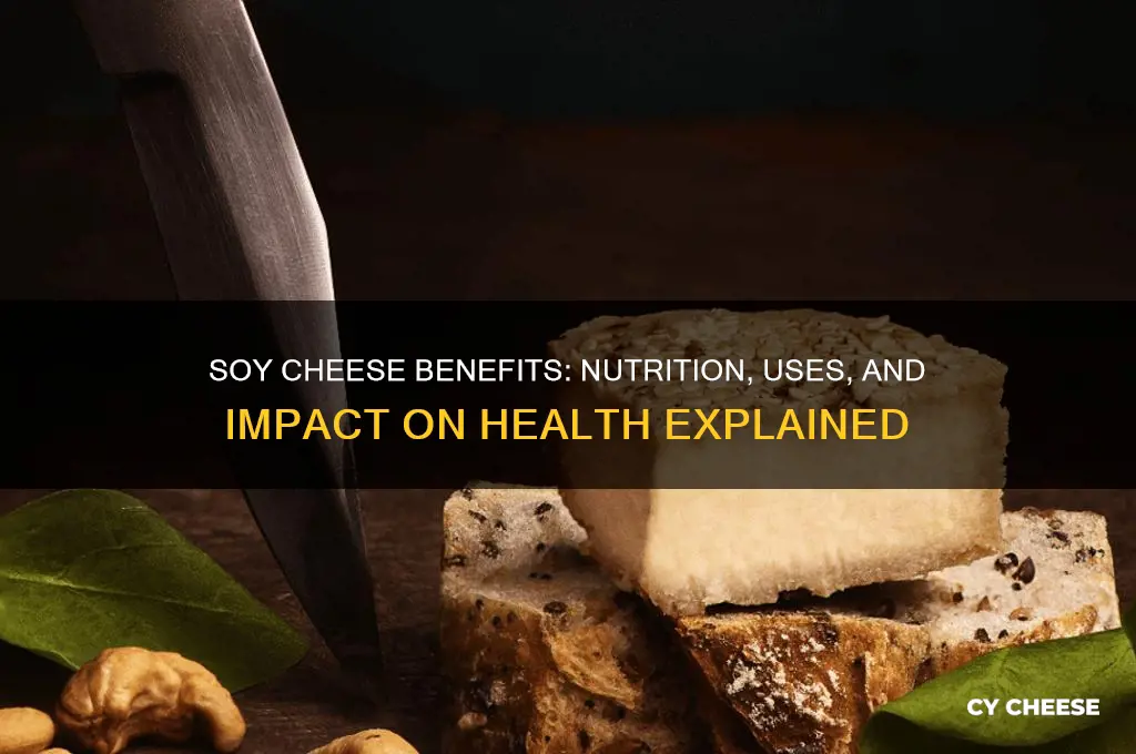 what does soy cheese do