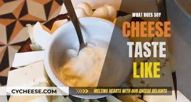 Soy Cheese: A Taste Experience Like No Other