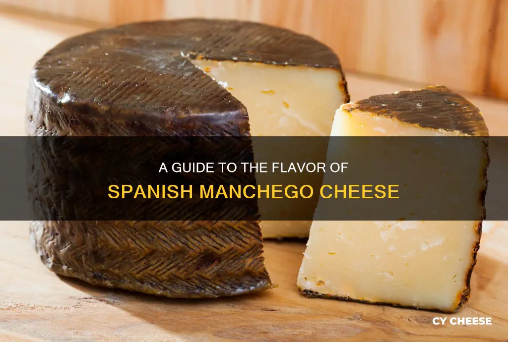 what does spanish manchego cheese taste like