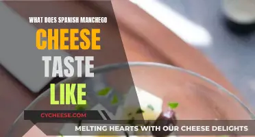 The Unique, Savory Taste of Manchego Cheese