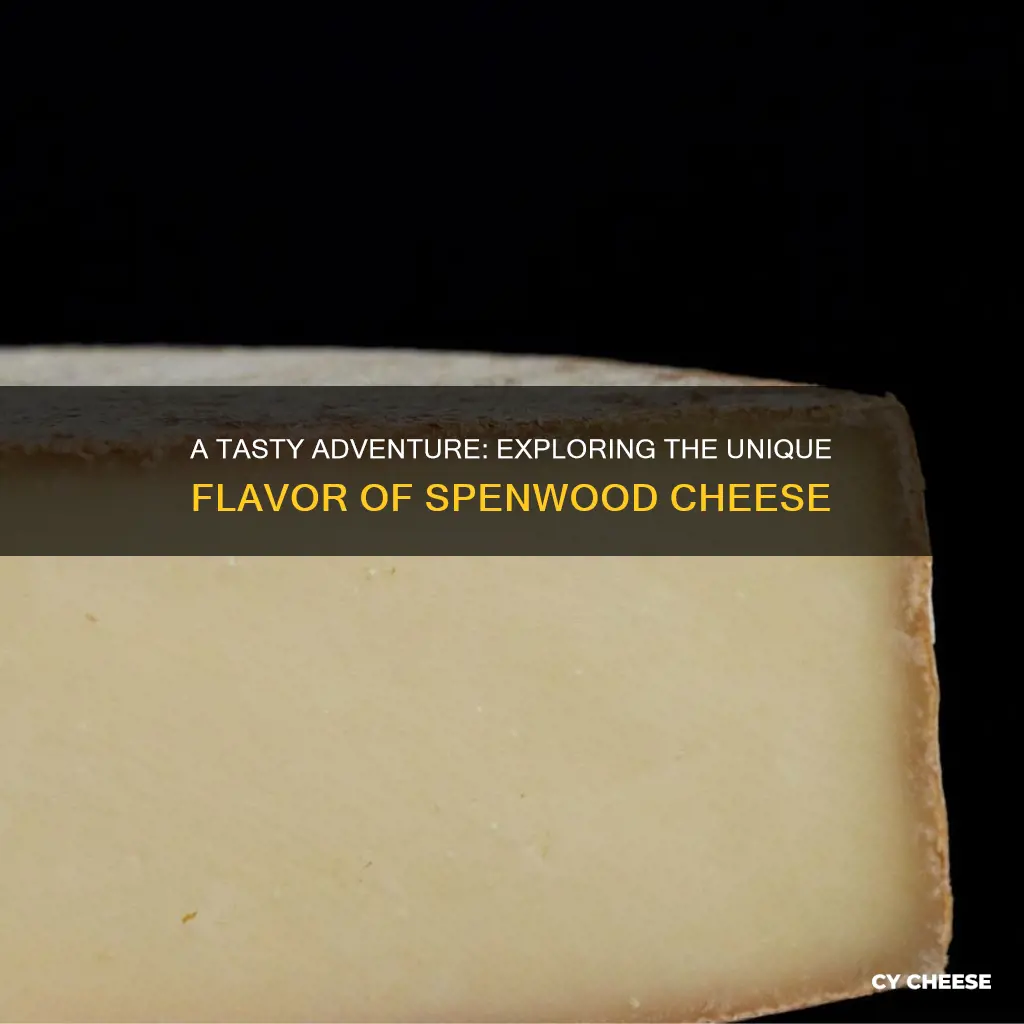 what does spenwood cheese taste like