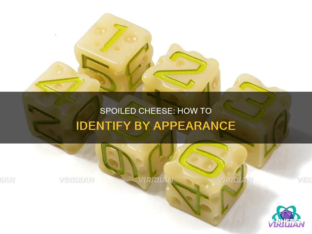 what does spoiled cheese look like