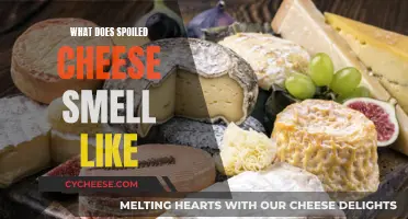 A Guide to the Smell of Spoiled Cheese