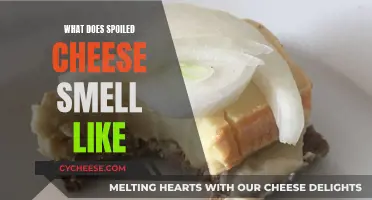 Spoiled Cheese: Detecting the Unmistakable Stench