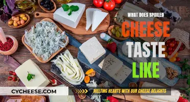 The Tasty Truth: A Guide to Spoiled Cheese