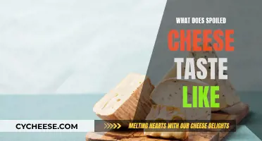 Spoiled Cheese: A Sour Surprise or Bitter Blast?
