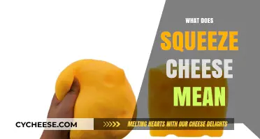 Understanding Squeeze Cheese: Definition, Uses, and Cultural Significance Explained