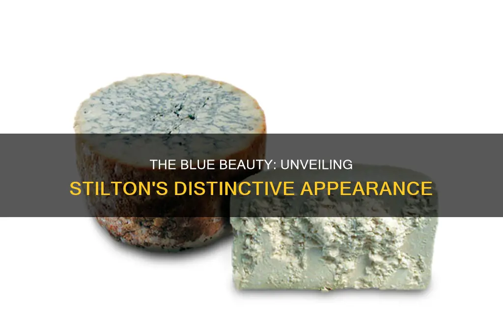 what does stilton cheese look like