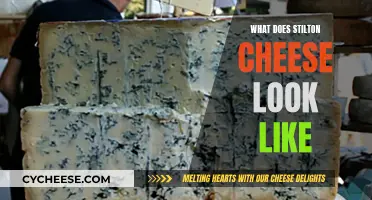 The Unique Appearance of Stilton Cheese