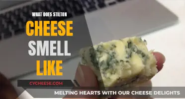 The Aroma of Stilton: A Cheesy Adventure