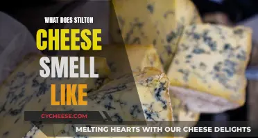 Stilton Cheese: Why Does It Smell So Strong?