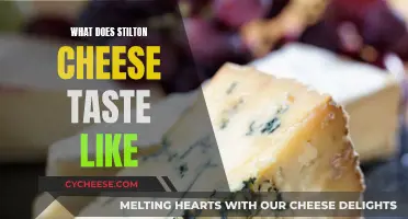 Stilton Cheese: A Distinctive Taste Experience