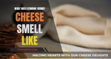 Stinking Bishop Cheese: A Pungent Aroma Experience