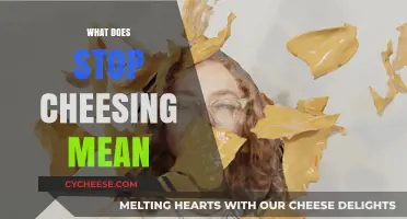 Understanding the Meaning Behind 'Stop Cheesing': A Comprehensive Guide