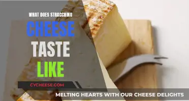 Stracchino Cheese: A Creamy, Milky Taste Experience