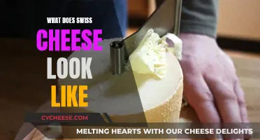 Swiss Cheese: A Visual Guide to its Unique Appearance