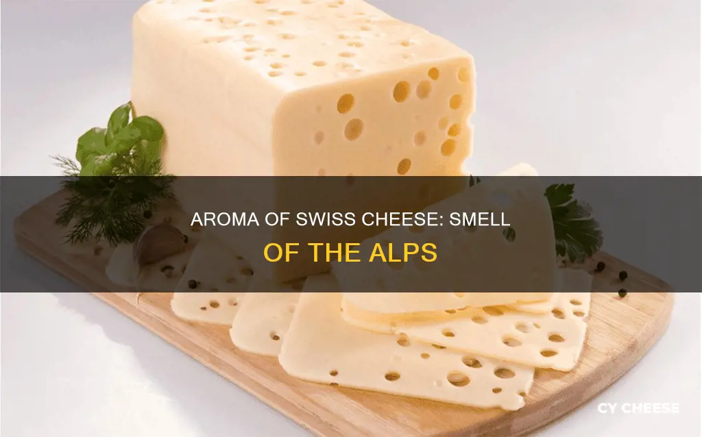 what does swiss cheese smell like