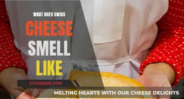 The Swiss Cheese Aroma: A Unique Smell Experience