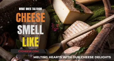 The Funky Aroma of Taleggio Cheese Explained